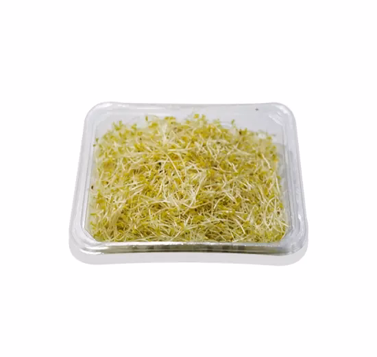 Alfalfa Sprouts 100g Netherlands